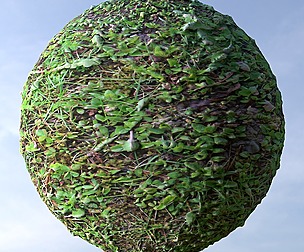 Grass 8
