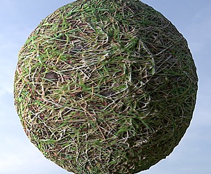 Grass 9