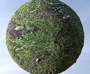 Grass 10