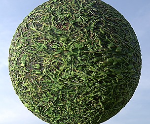 Grass 15