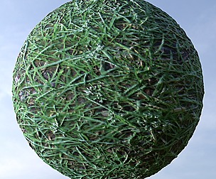Grass 17