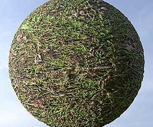 Grass 18