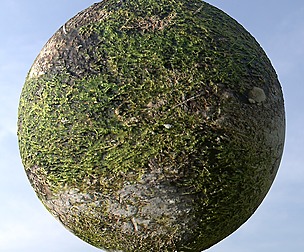 Grass And Asphalt 1