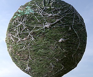 Forest Ground 4