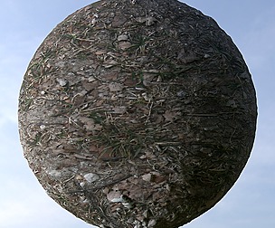 Forest Ground 8