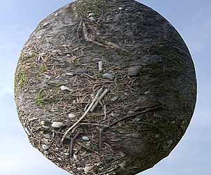 Forest Ground 11