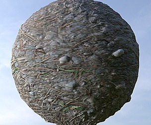 Forest Ground 13