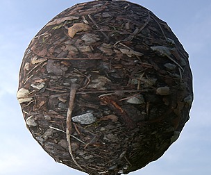 Forest Ground 16