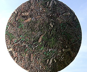 Forest Ground 20
