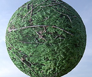 Forest Ground 28