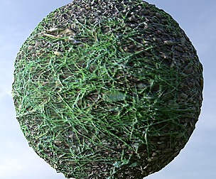 Forest Ground 33