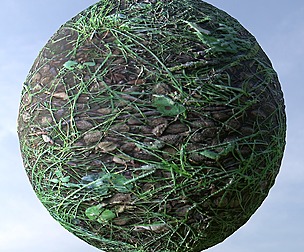 Forest Ground 34