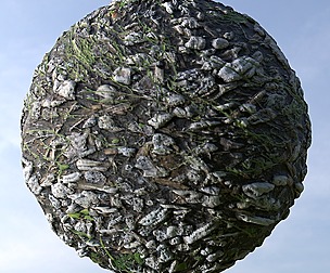 Fallen Tree Bark 1