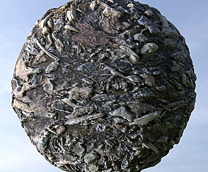 Fallen Tree Bark 4