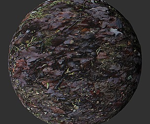 Fall Ground 1