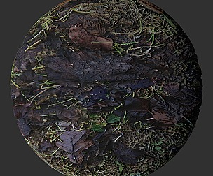 Fall Leaf Ground 2