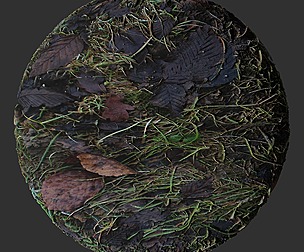 Fall Leaf Ground 3