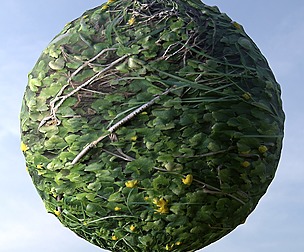 Flowers And Grass 1