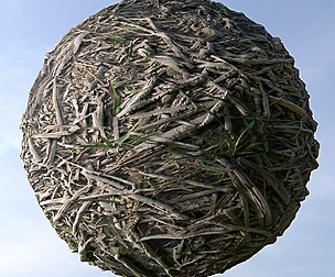 Dry Grass 1