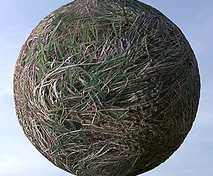 Dry Grass 2