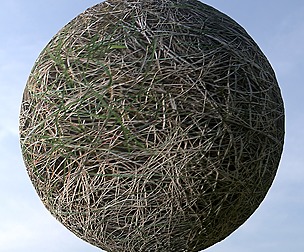 Dry Grass 3
