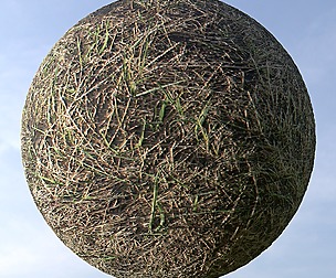 Dry Grass 8