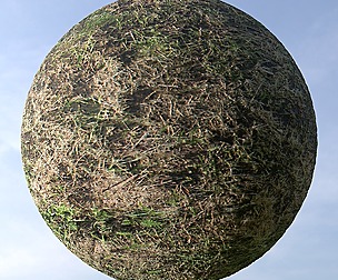 Dry Grass 9