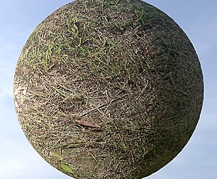 Dry Grass 11