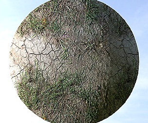 Dry Grass And Dirt 2