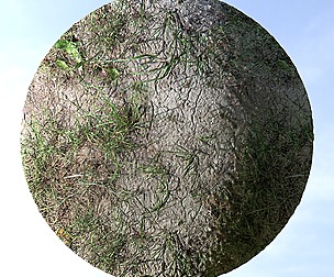 Dry Grass And Dirt 3