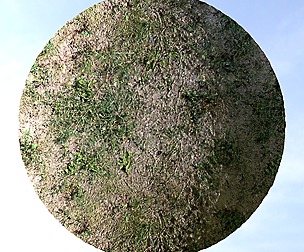 Dry Grass And Dirt 4