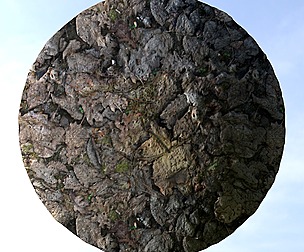 Dry Leaf Ground 1