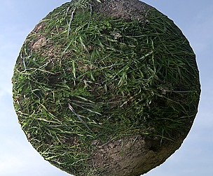Dirty Grass 6