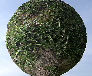 Dirty Grass 8