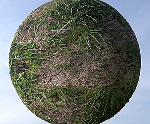 Dirt Grass 7