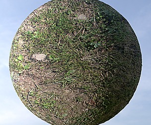 Dirty Grass 10