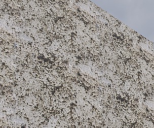 Dirty White Wall 1