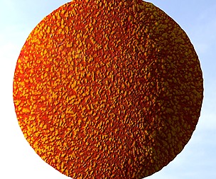 Cell 1