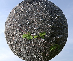 Cracked Asphalt 3