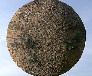 Desert Ground 1