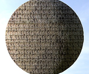 Brown Carpet 2