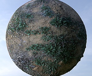 Sand Grass 2