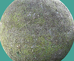 Needles | Pine 04