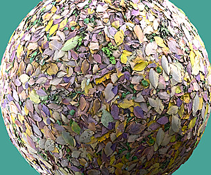 Fallen | Leaves 01