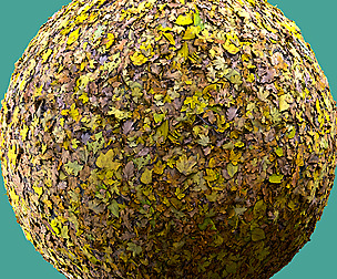 Fallen | Leaves 02