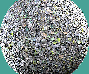 Mixed | Leaves 02