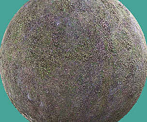 Meadow | Grass 01