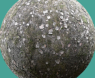 Meadow | Grass 02