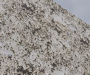 Dirty White Wall 1