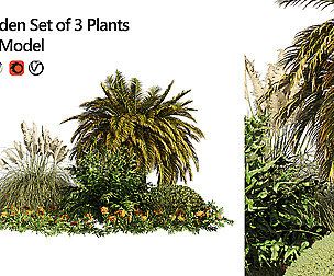 Outdoor Garden Set, Palm Tree, Bush & flowers